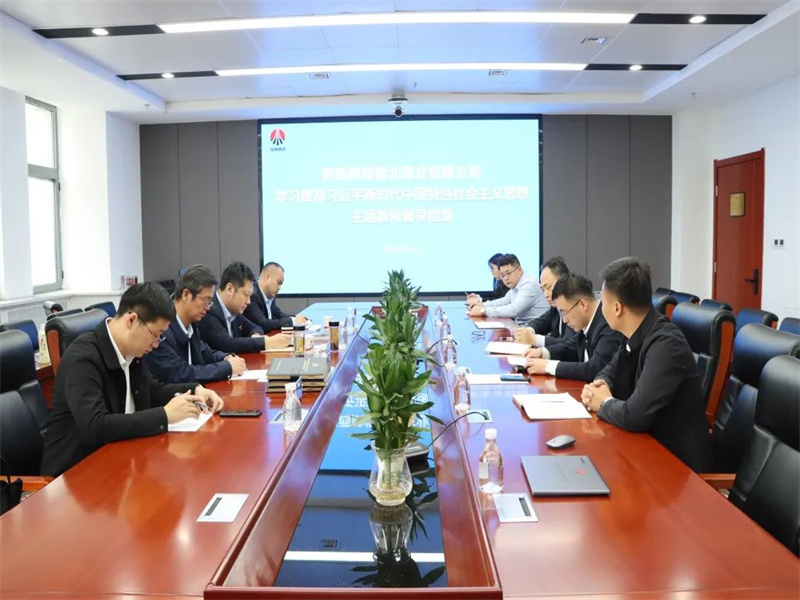 公司開展學(xué)習(xí)貫徹習(xí)近平新時(shí)代中國特色社會主義思想主題教育督導(dǎo)檢查.jpg