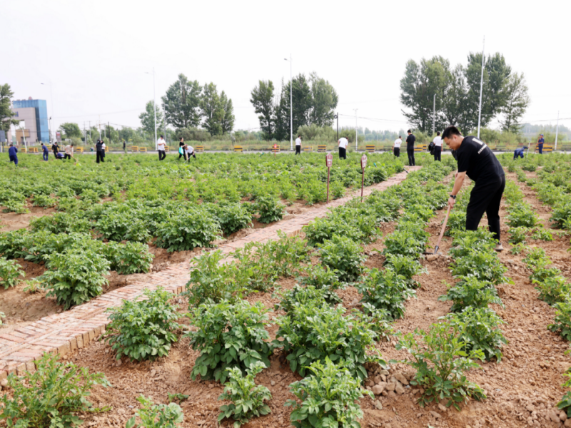 191752884310783854.png 8.png