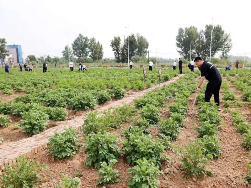 191752885044927066.jpg 2.jpg